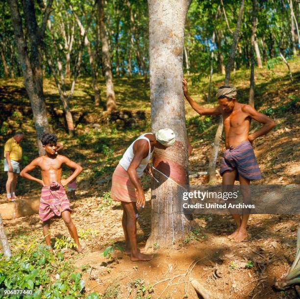 Trip to Sri Lanka, 1980s.