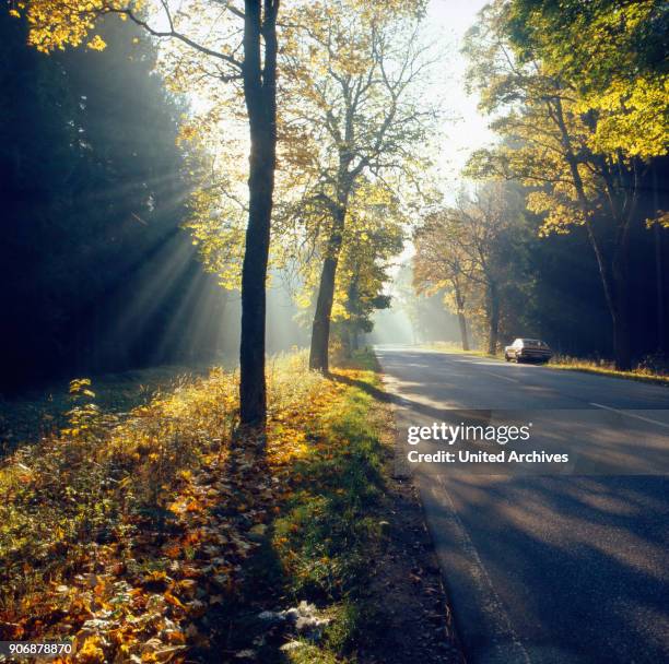 Trip to Munich, Bavaria, Germany 1980s.