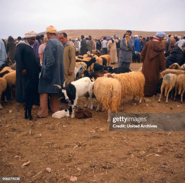 Trip to Morocco, 1980s.