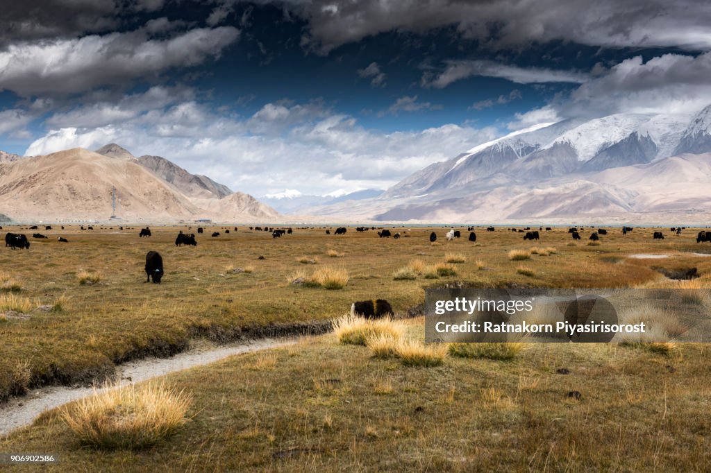 Landscape of Karakoram Highway