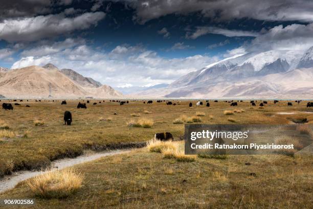 landscape of karakoram highway - kashgar - fotografias e filmes do acervo