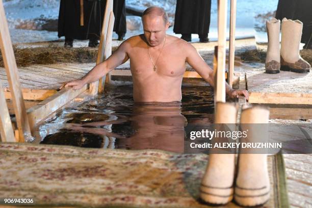 Russian President Vladimir Putin plunges into the icy waters of lake Seliger during the celebration of the Epiphany holiday in Russia's Tver region...