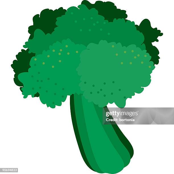 veggie cartoon-broccoli - broccoli isolated stock illustrations
