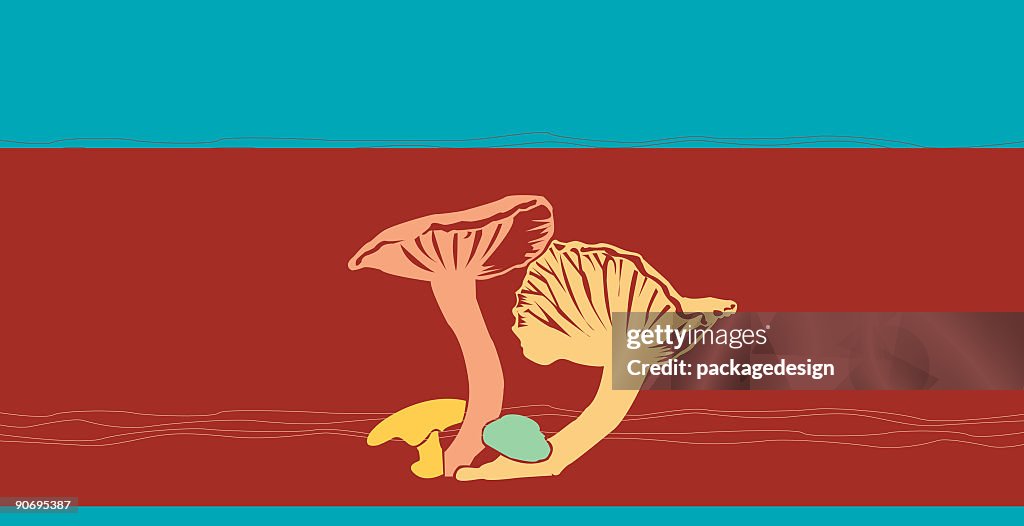 Shrooms