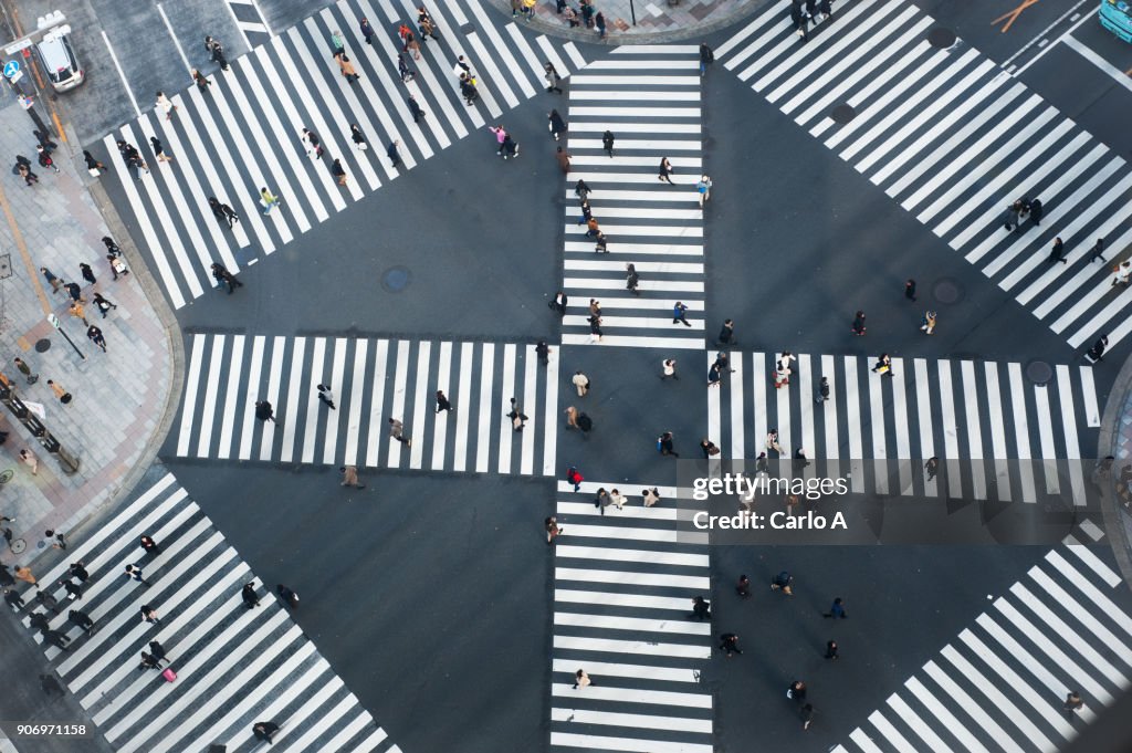 Tokyo Aerial