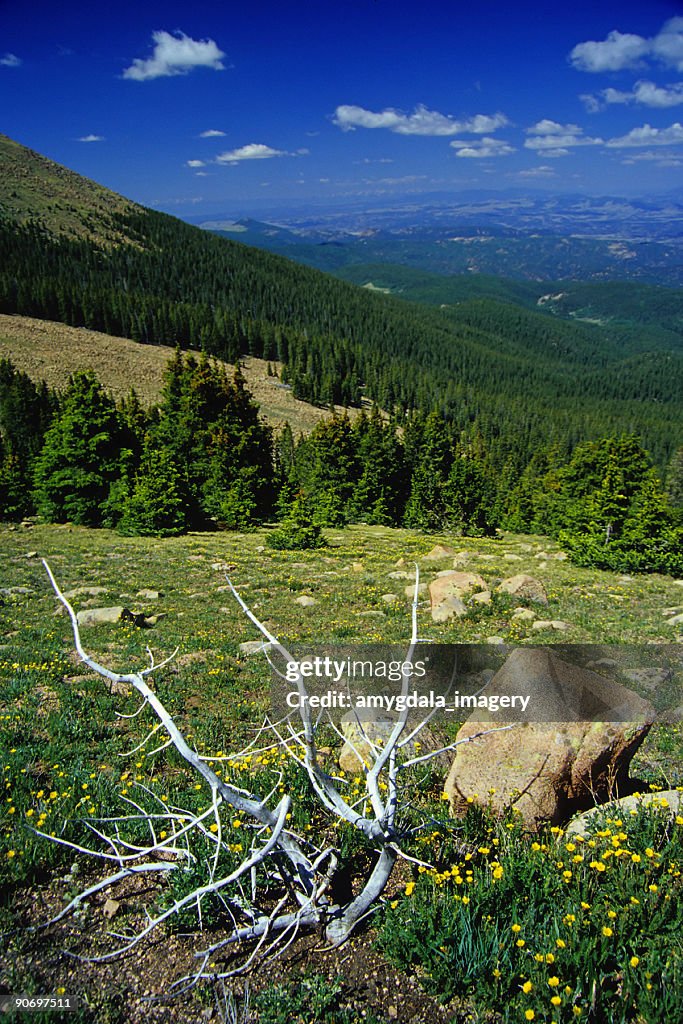 Mountain landscape