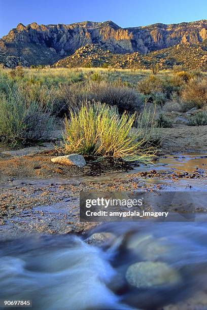 landscape sunset mountain creek desert - sandia mountains stockfoto's en -beelden