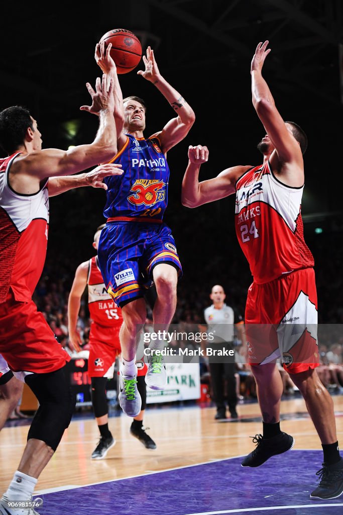 NBL Rd 15 - Adelaide v Illawarra