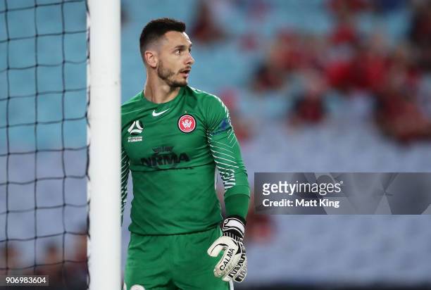 Wanderers goalkeeper Vedran Janjetovic looks on during the round 17 A-League match between the Western Sydney Wanderers and the Melbourne Victory at...