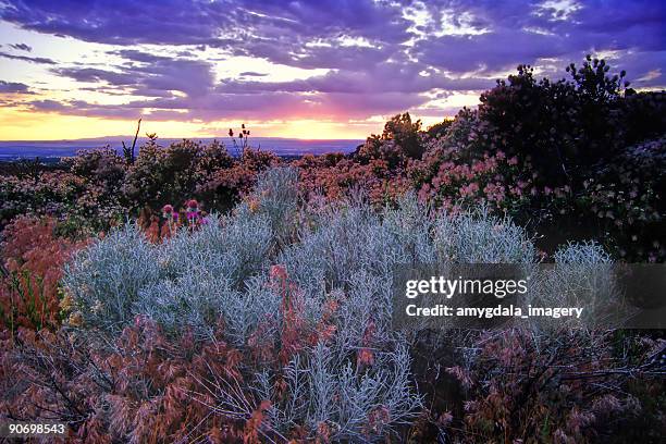 sagebrush ciel paysage coucher de soleil du désert - nouveau mexique photos et images de collection