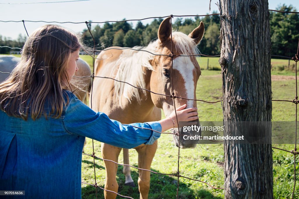 Preteen girl stroking horses nose behind a fence.