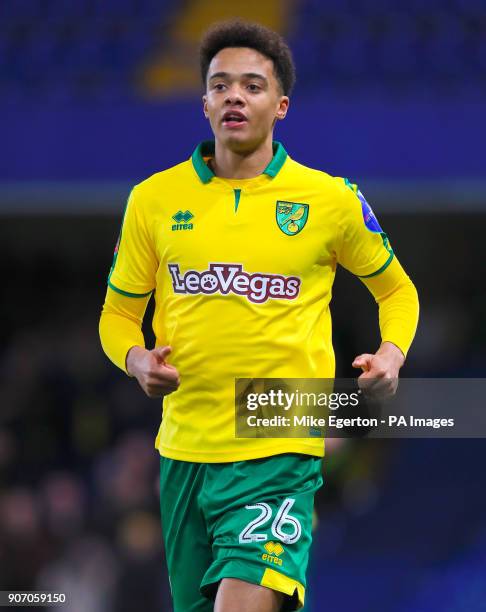 Norwich City's Jamal Lewis