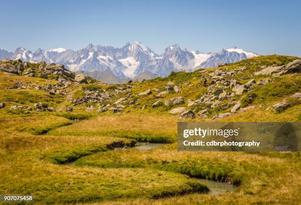 スイス連邦共和国の山の中で野生高山の牧草地を流れる川 - verbier ストックフォトと画像