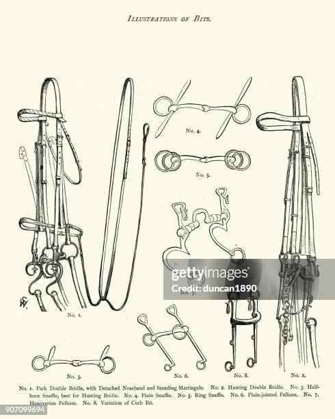 victorian riding bits - animal harness stock illustrations