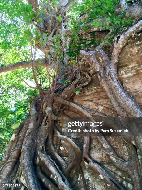 sambor prei kuk ruins, brick temple, cambodia - prei stock pictures, royalty-free photos & images