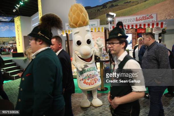 Stand host dressed as a Beelitz asparagus greets visitors in the Brandenburg hall at the 2018 International Green Week agricultural trade fair on...