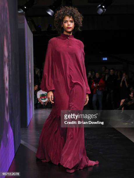 Lisa Washington walks the runway during the Maybelline Show 'Urban Catwalk - Faces of New York' at Vollgutlager on January 18, 2018 in Berlin,...