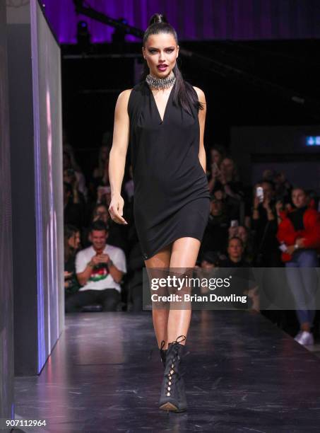 Supermodel and Victoria's Secret Angel Adriana Lima walks the runway during the Maybelline Show 'Urban Catwalk - Faces of New York' at Vollgutlager...