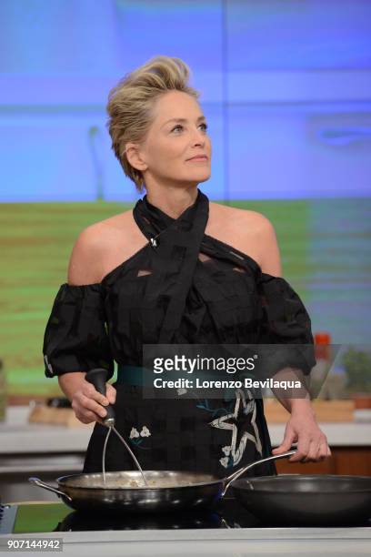 Sharon Stone is the guest, Monday, January 22, 2018 on Walt Disney Television via Getty Images's "The Chew." "The Chew" airs MONDAY - FRIDAY on the...