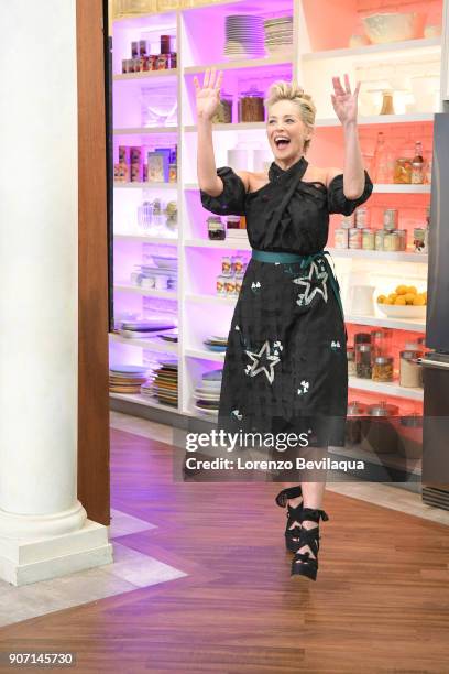 Sharon Stone is the guest, Monday, January 22, 2018 on Walt Disney Television via Getty Images's "The Chew." "The Chew" airs MONDAY - FRIDAY on the...