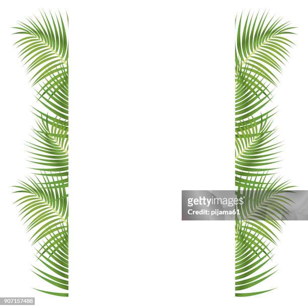 ilustraciones, imágenes clip art, dibujos animados e iconos de stock de frontera de hojas de palma - palmera