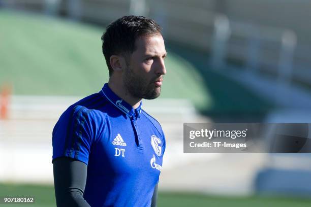 Head coach Domenico Tedesco of Schalke looks on prior to the Friendly match between FC Schalke 04 and KRC Genk at Estadio Municipal Guillermo Amor on...