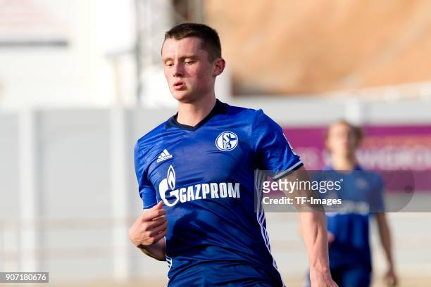 Fabian Reese of Schalke looks on during the Friendly match between FC Schalke 04 and KRC Genk at Estadio Municipal Guillermo Amor on January 07, 2018...
