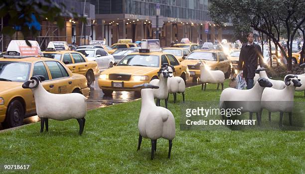 Pedestrian and cars pass by François-Xavier�s Moutons, 1988-1994, which features a life-size flock of twelve sheep and lambs, crafted from epoxy and...