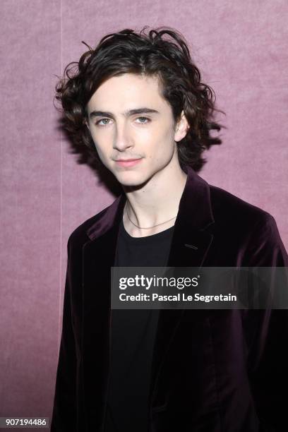 Timothee Chalamet attends the Berluti Menswear Fall/Winter 2018-2019 show as part of Paris Fashion Week on January 19, 2018 in Paris, France.