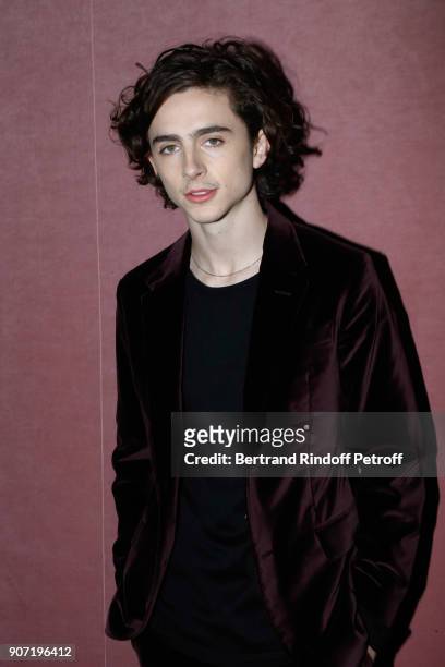 Actor Timothee Chalamet attends the Berluti Menswear Fall/Winter 2018-2019 show as part of Paris Fashion Week on January 19, 2018 in Paris, France.