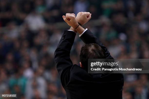 Xavi Pascual, Head Coach of Panathinaikos Superfoods Athens react during the 2017/2018 Turkish Airlines EuroLeague Regular Season Round 19 game...