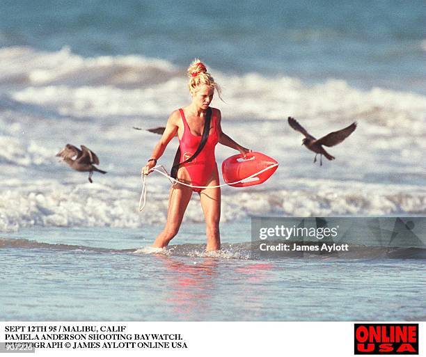 SEPT 12TH 95 HOLLYWOOD CALIF PAMELA ANDERSON SHOOTING BAYWATCH.