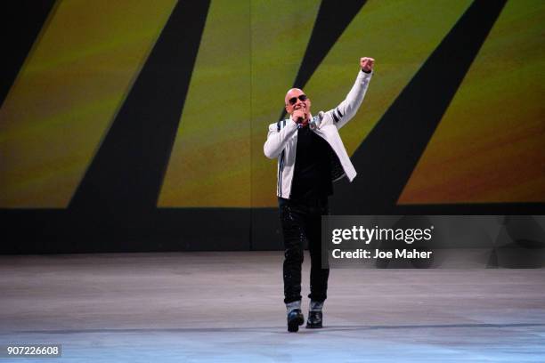 Vin Diesel introduces the 'Fast and Furious Live'Premiere at The O2 Arena on January 19, 2018 in London, England.