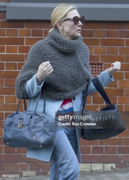 Cate Blanchett seen shopping in Hampstead on January 19, 2018 in London, England.