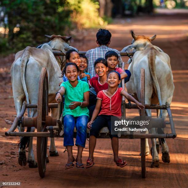 gruppe von glückliche kambodschanische kinder reiten ochsenkarren, kambodscha - cambodia stock-fotos und bilder