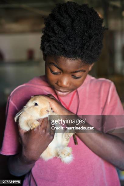 afro-amerikaanse jongen een baby konijn te houden in een oude schuur. - baby bunny stockfoto's en -beelden