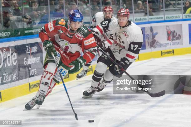 Jaroslav Hafenrichter of Augsburger Panther and Philip Gogulla of Koelner Haie battle for the ball during the DEL match between Augsburger Panther...