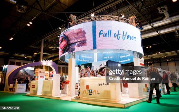 Palestina stand at FITUR International Tourism Fair 2018 at Ifema on January 19, 2018 in Madrid, Spain. Prime Minister Mariano Rajoy confirmed that...