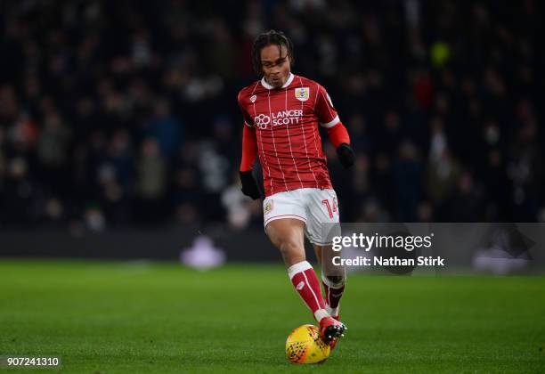 Bobby Reid of Bristol City in action during the Sky Bet Championship match between Derby County and Bristol City at iPro Stadium on January 19, 2018...