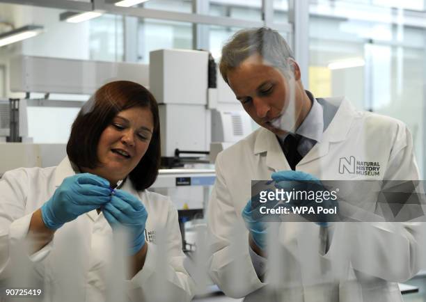 Britain's Prince William is pictured through a laboratory window while being shown how to extract the DNA from a mosquito by Dr. Yvonne Linton during...