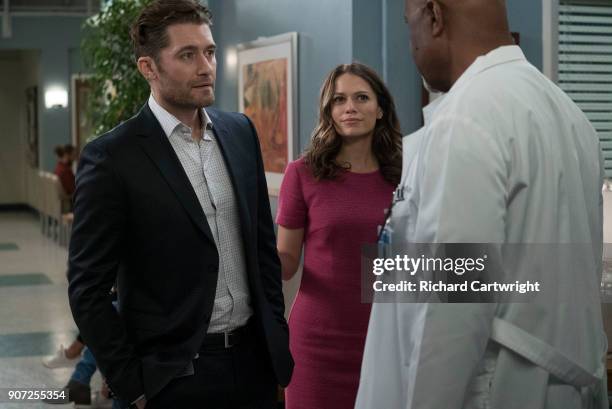 Jo finally faces her estranged, abusive husband Paul Stadler, while Grey Sloan continues to work with the FBI after a hacker has compromised the...