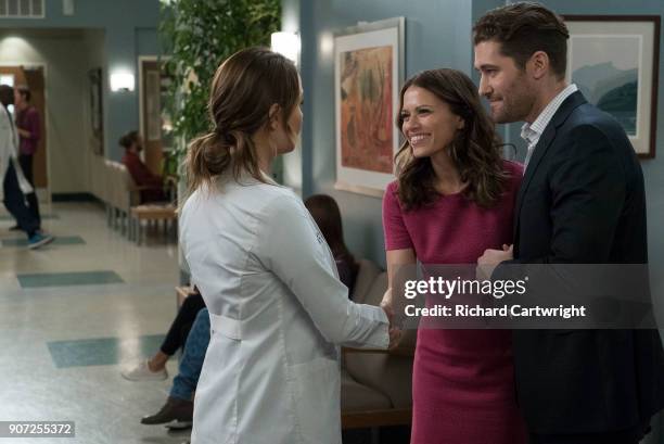 Jo finally faces her estranged, abusive husband Paul Stadler, while Grey Sloan continues to work with the FBI after a hacker has compromised the...