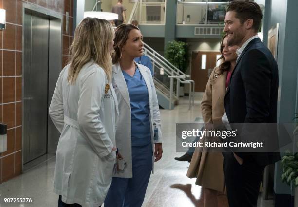 Jo finally faces her estranged, abusive husband Paul Stadler, while Grey Sloan continues to work with the FBI after a hacker has compromised the...