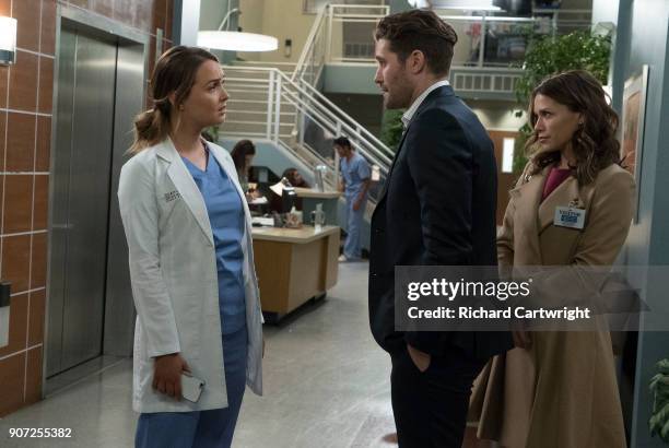 Jo finally faces her estranged, abusive husband Paul Stadler, while Grey Sloan continues to work with the FBI after a hacker has compromised the...