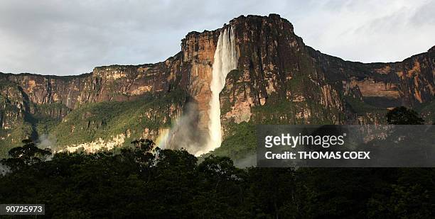 General view taken at dawn on September 13, 2009 of the Angel Falls , the world's highest waterfall, with a height of 979 m , near the village of...