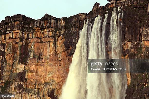 General view taken at dawn on September 13, 2009 of the Angel Falls , the world's highest waterfall, with a height of 979 m , near the village of...