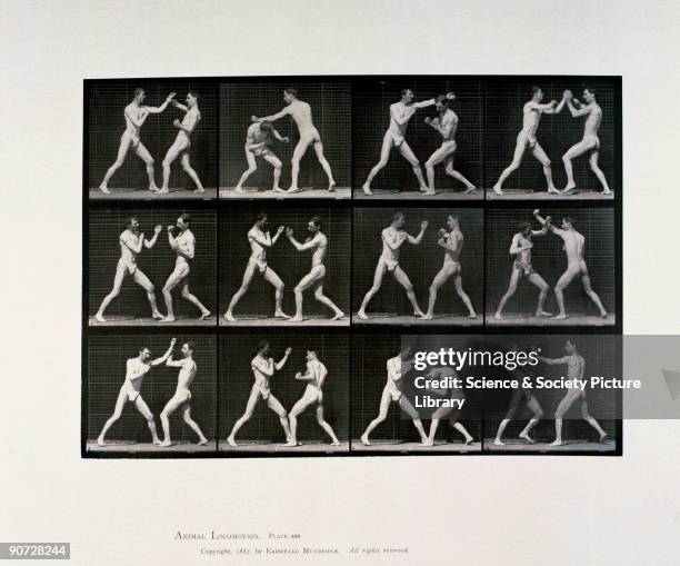 Plate 336 from Muybridge's 'Animal Locomotion' . Eadweard Muybridge was the first photographer to carry out the analysis of movement by sequence...