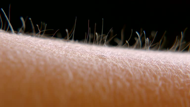 Hairs Rising 640 Lift Hair Stock Videos, Footage, & 4K Video Clips - Getty Images