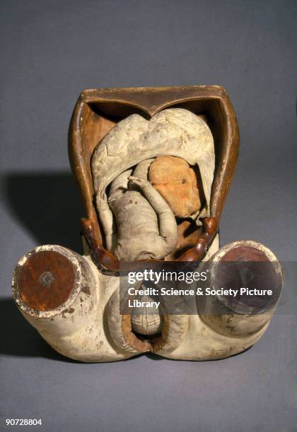 This 18th century wood and leather model of the foetus in the womb and the female genitalia is almost life size and is known as an �obstetric...