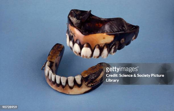 Set of dentures made of ivory with composition plate and posteriors, and human anteriors with spring attachments. They show extreme discolouration....